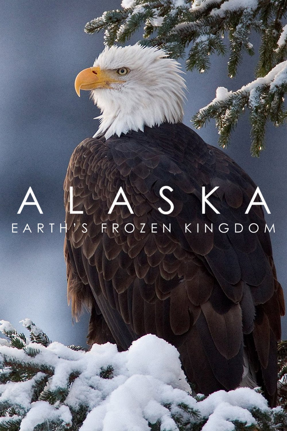 Alaska: Vương Quốc Băng Giá - Alaska: Earth's Frozen Kingdom