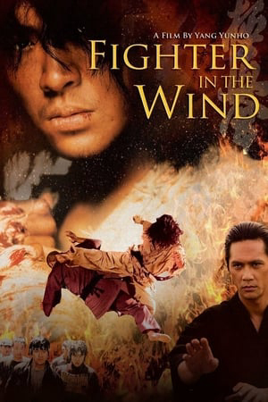 Huyền thoại võ sĩ - Fighter in the Wind