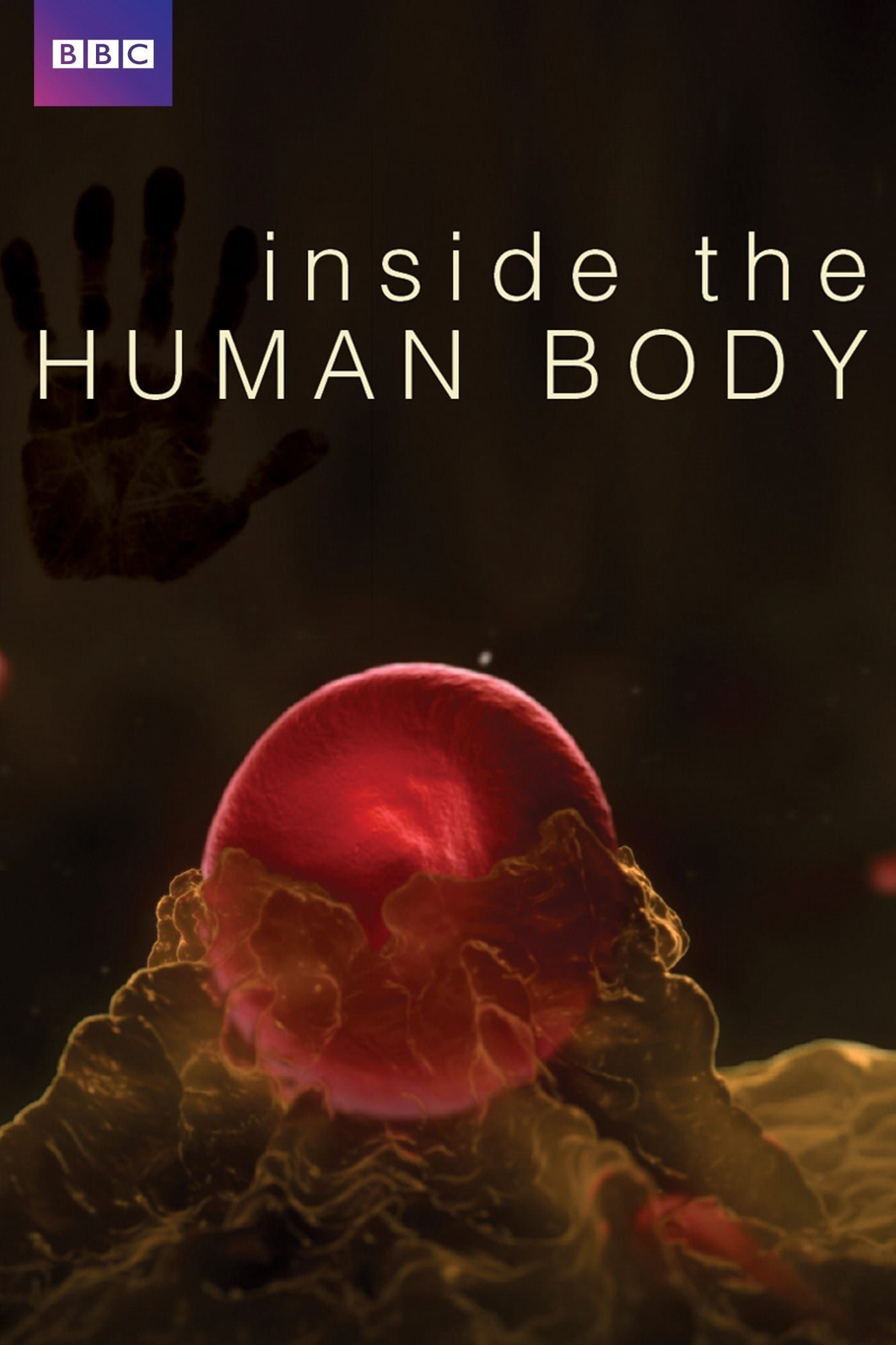 Inside the Human Body - Inside the Human Body