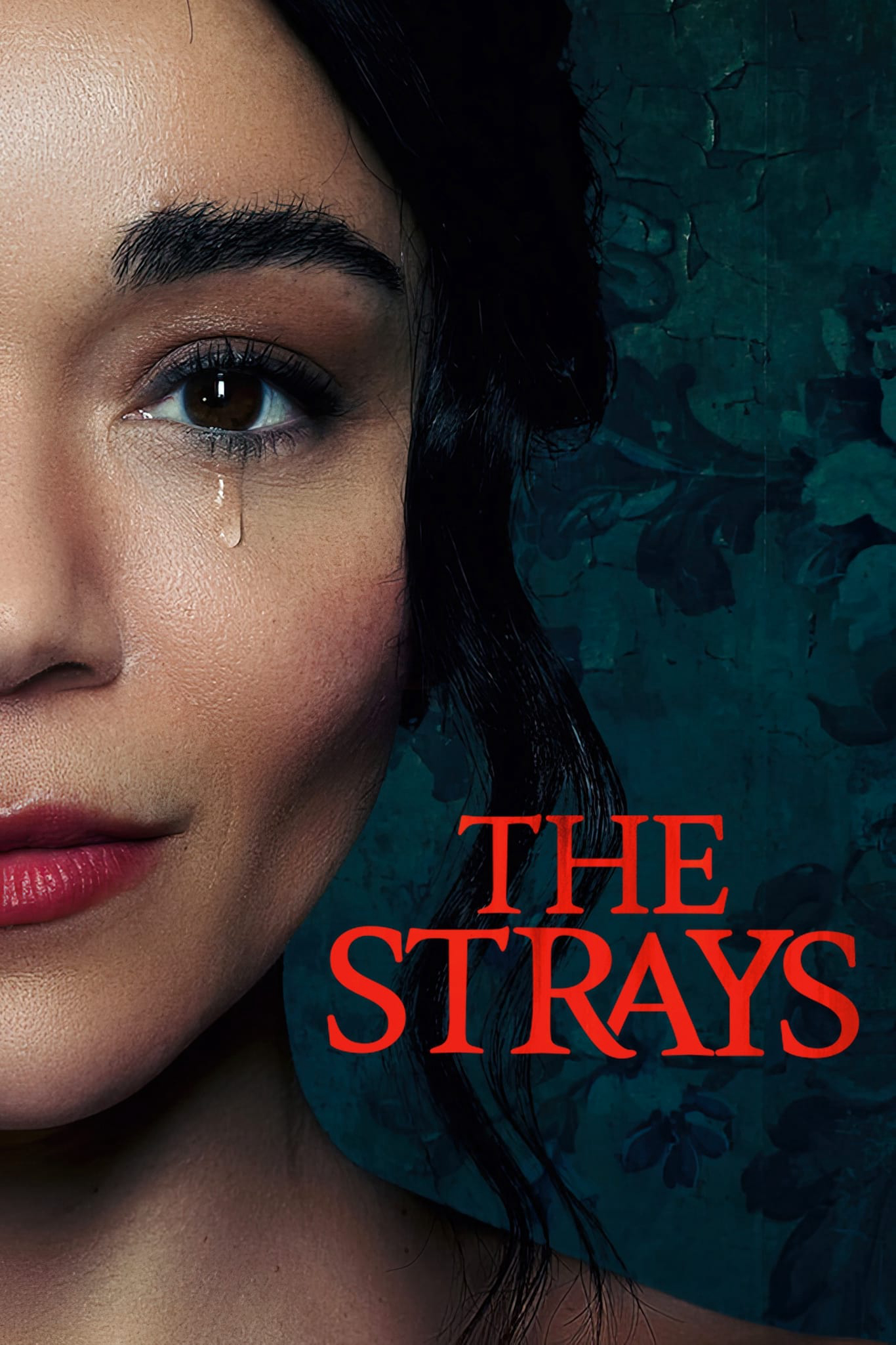 Kẻ lạc đường - The Strays