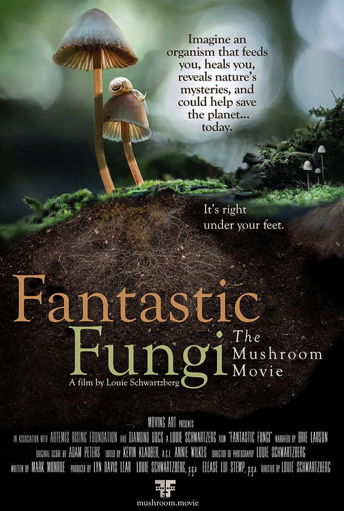 Thế giới nấm diệu kỳ - Fantastic Fungi